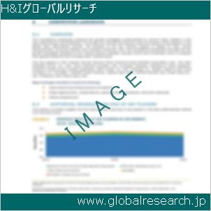 グローバルリサーチ調査レポートのイメージ